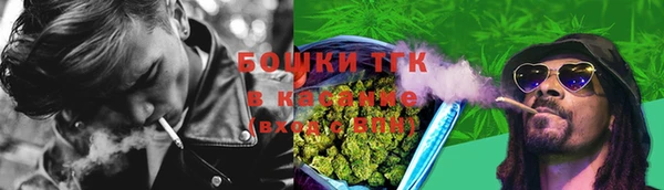 гидра Алзамай