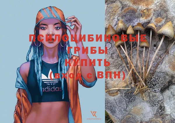 прущие крисы Алексеевка