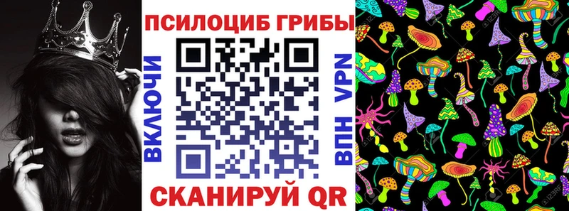 Псилоцибиновые грибы Psilocybine cubensis Старый Оскол