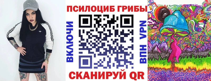 сколько стоит  Старый Оскол  hydra ССЫЛКА  Псилоцибиновые грибы прущие грибы 