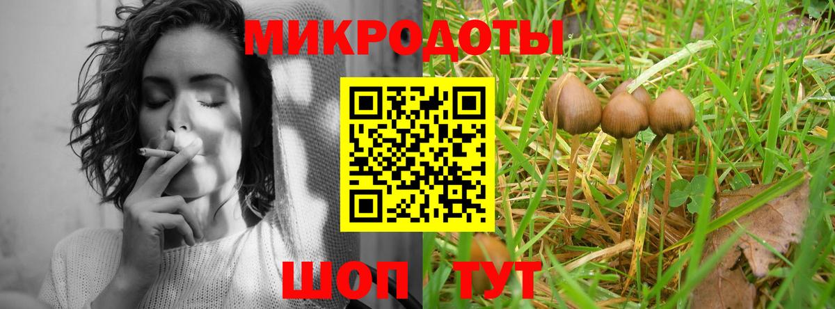 Галлюциногенные грибы Cubensis  купить наркоту  Старый Оскол  Вход с VPN 